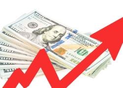 تثبیت نرخ دلار در کانال 20 هزارتومانی تثبیت نرخ دلار در کانال 20 هزارتومانی