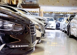 اگر از دلالی خودرو ضرر کردید دولت را مقصر ندانید