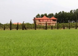 خانهباغهای میلیاردی روی زمینهای کشاورزی خانهباغهای میلیاردی روی زمینهای کشاورزی