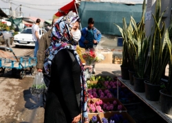 آفت ارز دولتی بر جان گل