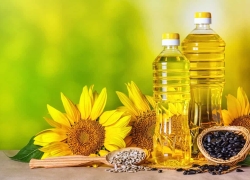 ذرت و کنجد؛ جایگزین آفتاب‌گردان