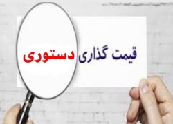 قیمت‌گذاری دستوری فولاد به کام دلالان