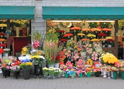 بازار گل، پژمرده شد