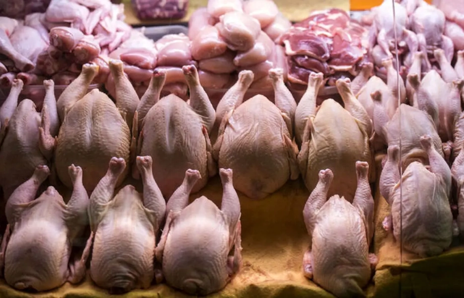 مکافات قطعات مرغ