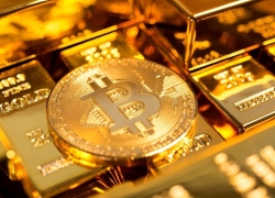 اینجا بیت‌کوین پادشاه نیست