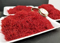 رکود زعفران در هیاهوی گرانی کالاهای اساسی