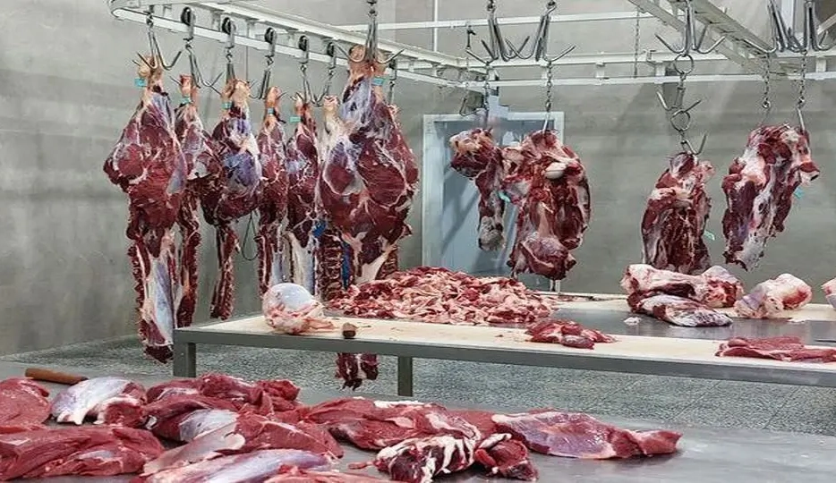 زنگ خطر گرانی گوشت قرمز
