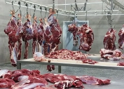 زنگ خطر گرانی گوشت قرمز زنگ خطر گرانی گوشت قرمز