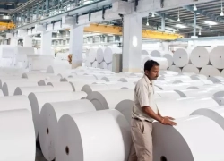 چهار عامل پشت پرده گرانی کاغذ