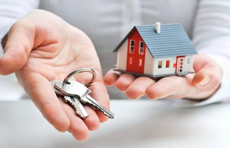 نقش دولت در خانه‌دارکردن مردم