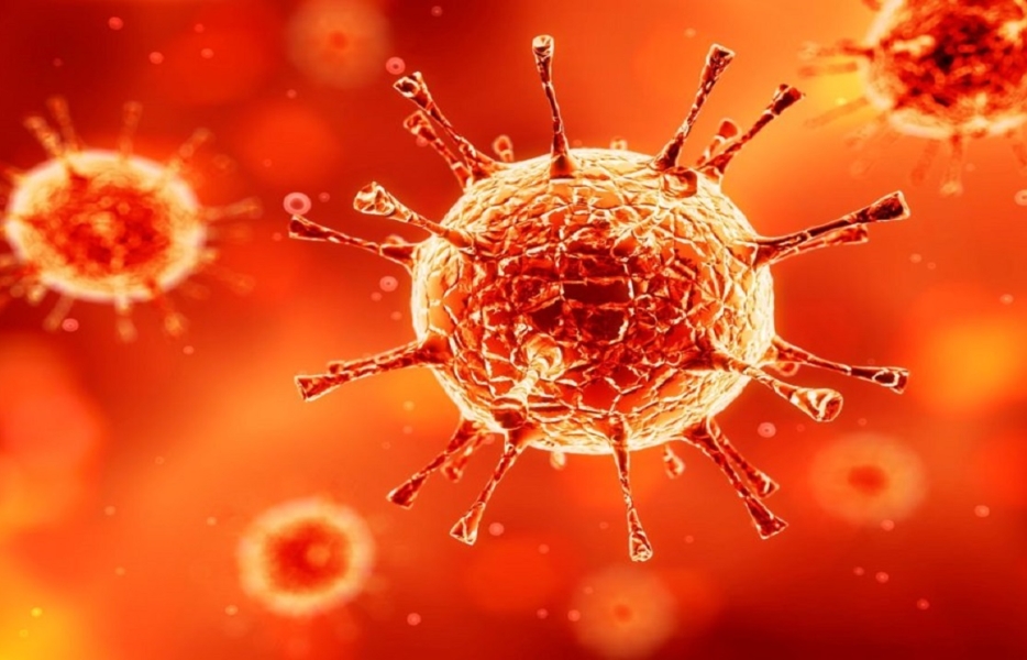 تخریبگر بزرگ مشاغل کوچک