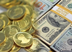 ایستاده در سپه، در انتظار وین