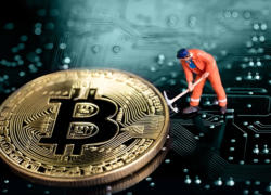 کورس رقابت میان صرافی‌های داخلی کریپتو کارنسی