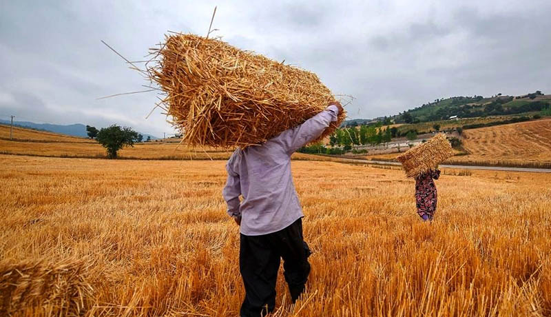 غرامت برای یک&zwnj;میلیون&zwnj;و100هزار کشاورز اصفهانی