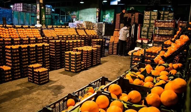 صادرات سیب و پرتقال آزاد شد+ سند