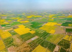 ۹۹ درصد ‌اراضی ملی در استان اصفهان سند‌دار شد