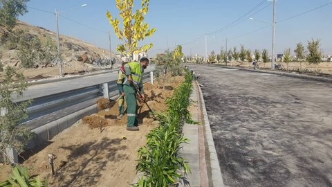 آغاز عملیات واکاری و کاشت ۲۰ هزار درخت و درختچه در منطقه ۹ اصفهان