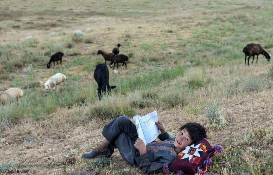 تصویر زندگی