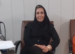 تلفن‌های مردمی مهندسی‌شده نیست