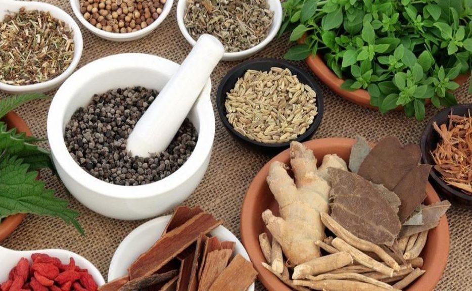 گیاهان رقیق‌کننده خون