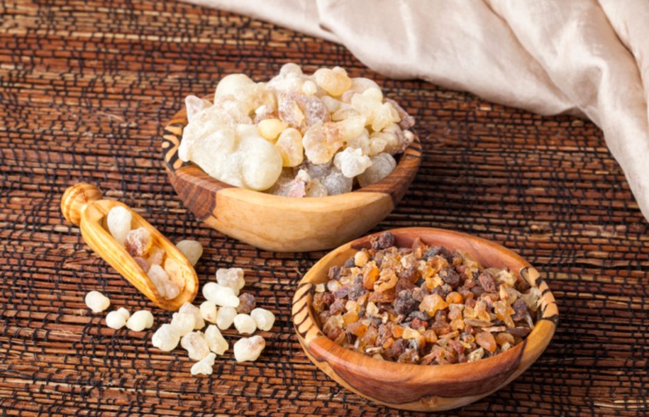 با کندر هوش فرزندتان را افزایش دهید