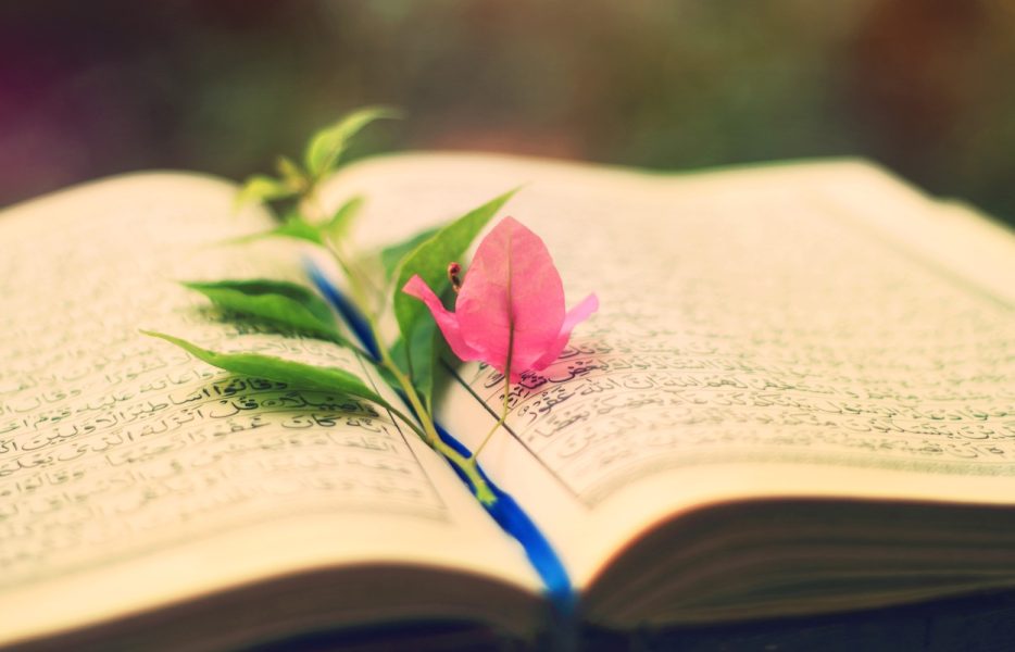 میراث زین‌العابدین