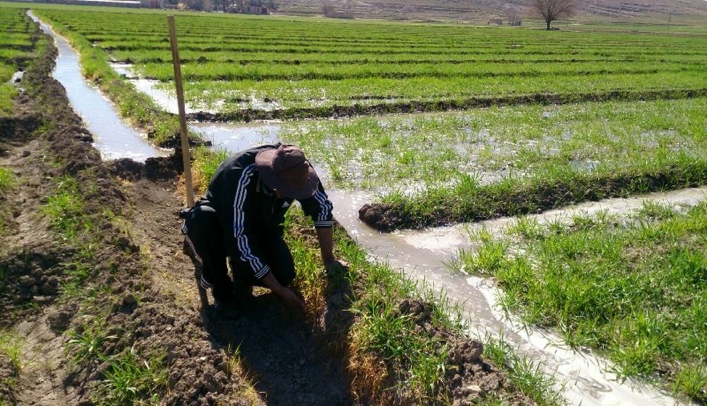 فرصت‌های کم‌نظیر گردشگری کشاورزی در اصفهان - اصفهان زیبا