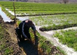 فرصت‌های کم‌نظیر گردشگری کشاورزی در اصفهان