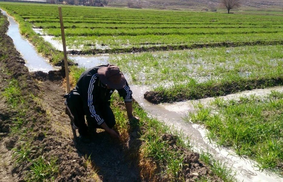 فرصت‌های کم‌نظیر گردشگری کشاورزی در اصفهان