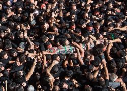 از ثنای سلطانعلی تا خشم از زرینکفش از ثنای سلطانعلی تا خشم از زرینکفش