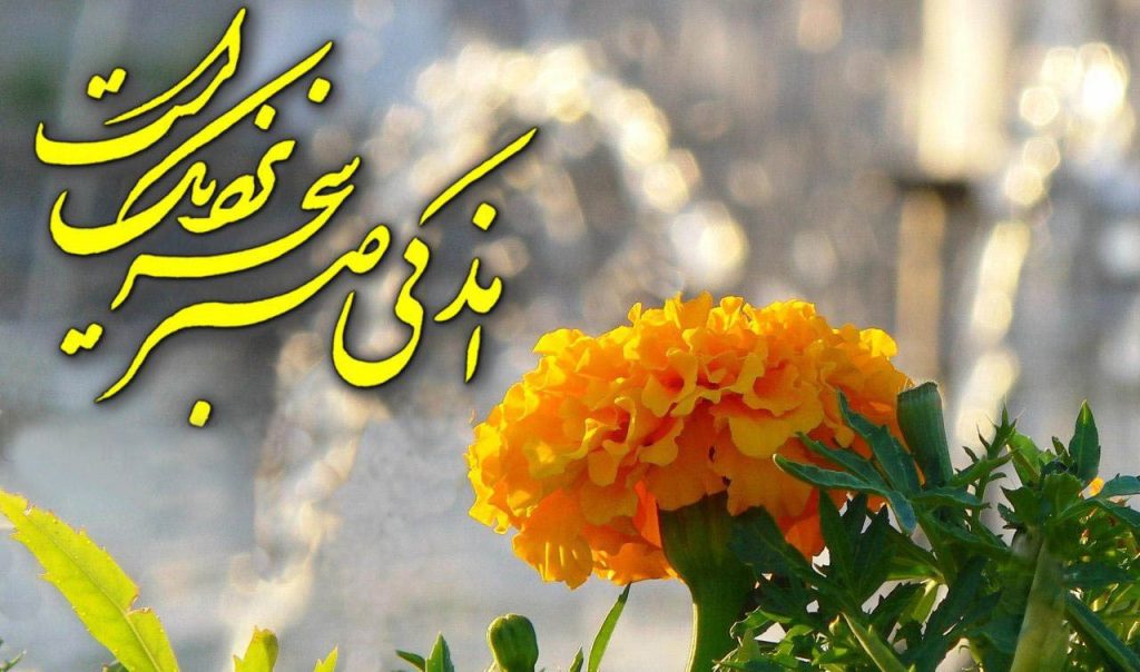 تاب‌آوری و نقش آن در زندگی - اصفهان زیبا