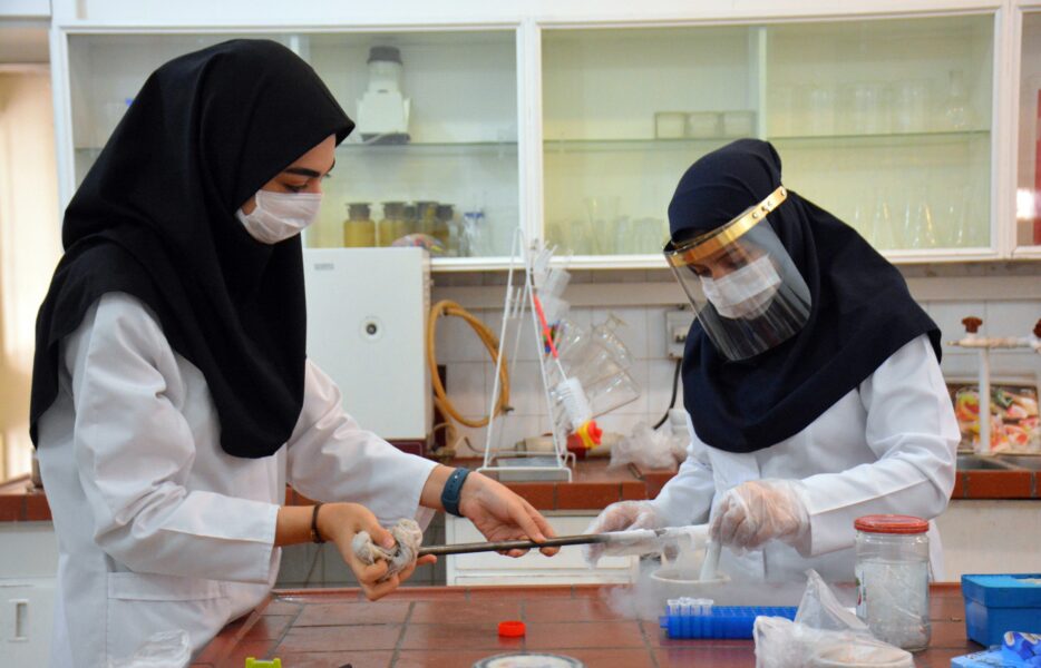 بانوی خانه‌دار تاجر!