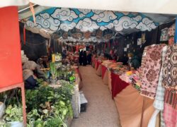 جلوه هنر در مجموعه فرهنگی‌تفریحی باغ‌نوش