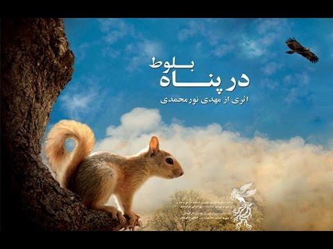 روایتی از دل زاگرس - اصفهان زیبا