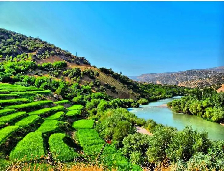 بیا بریم دشت&hellip;