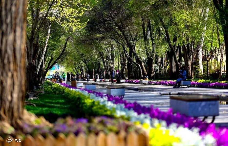 سیاست&zwnj;گذاران ما بایدچشم&zwnj;هایشان را بشویند!