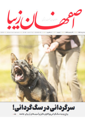 1 مرداد 1401