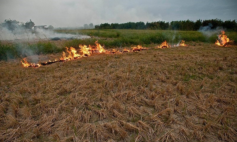 آتش به خرمن افتاد!