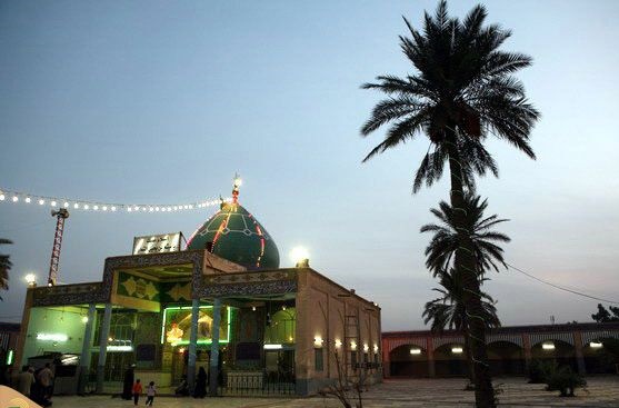 میثم؛ مدافع ایرانی حریم اهل‌البیت