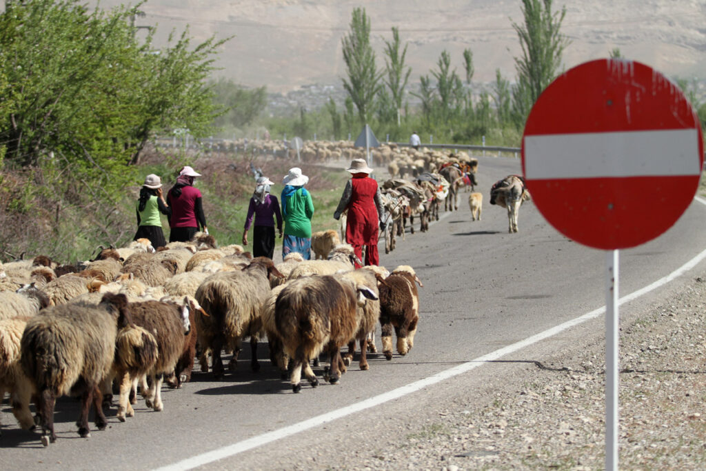 کوچ پرمشقت عشایر! - اصفهان زیبا
