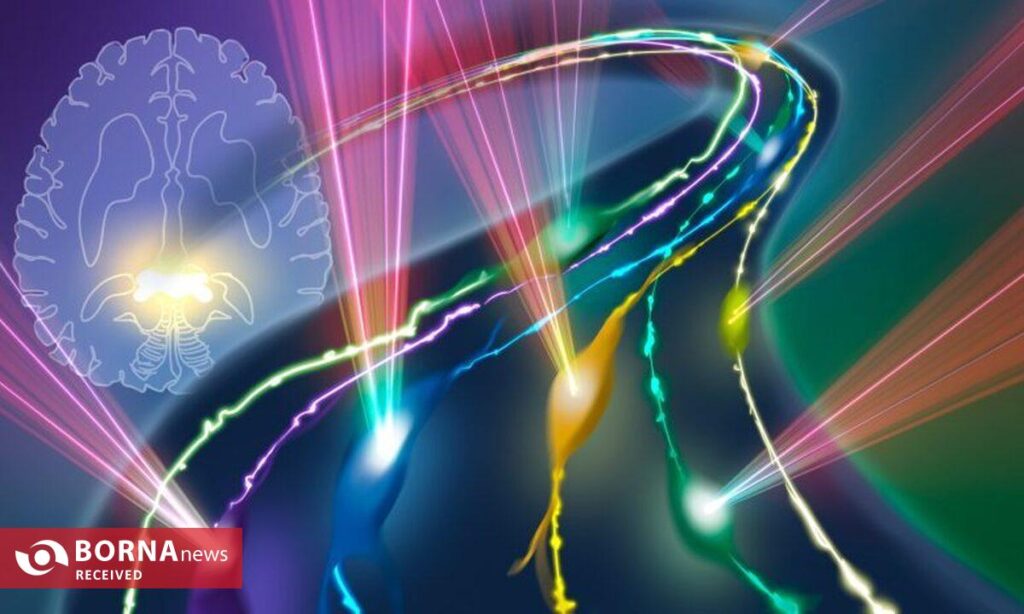 سرطان زیر ذره‌بین فیلم‌سازان - اصفهان زیبا