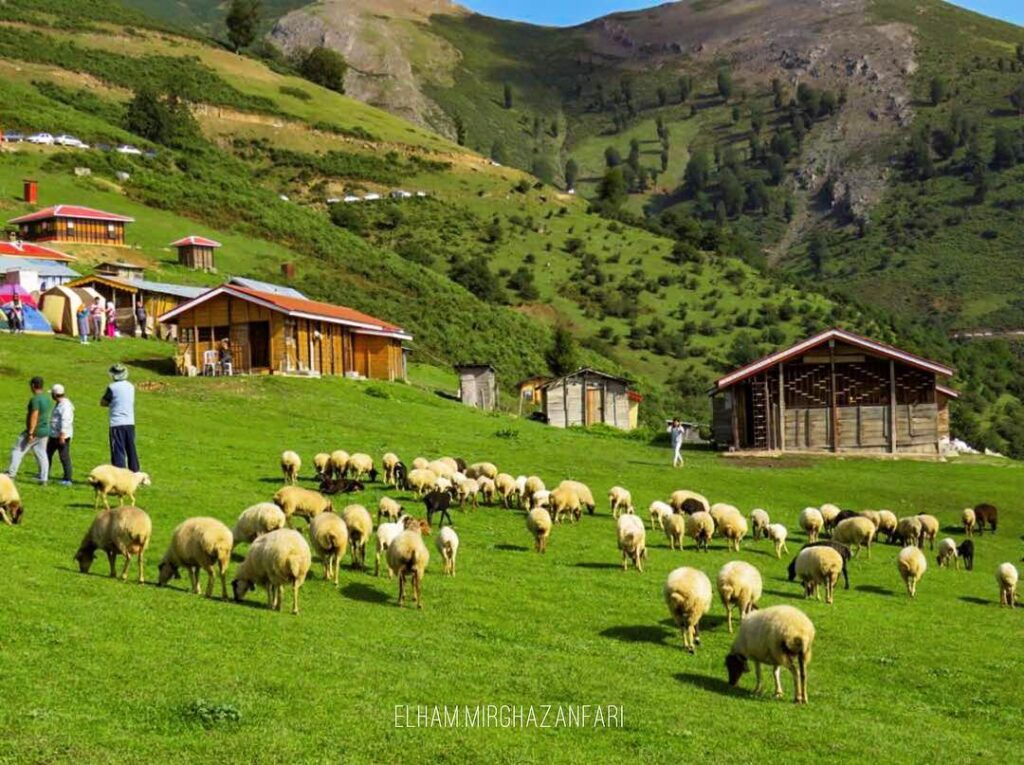 گلّه دارم، کوچ اقبال من است! - اصفهان زیبا