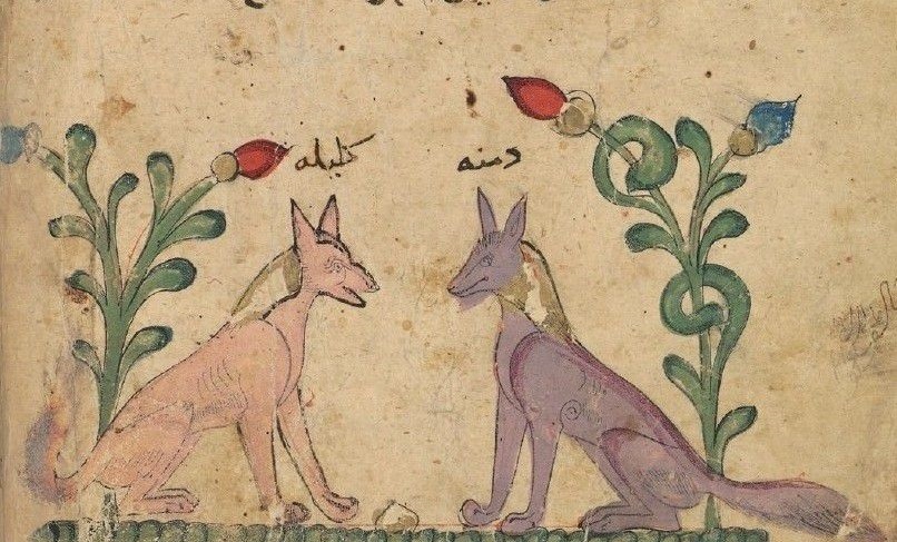جویندگان بوته سرسبز زندگی&zwnj;بخش