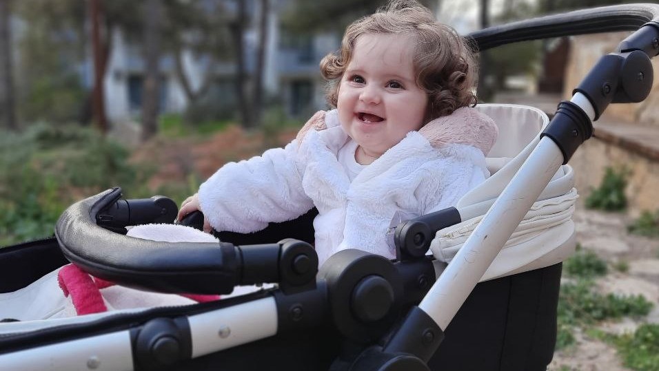 کالسکه‌ران - اصفهان زیبا