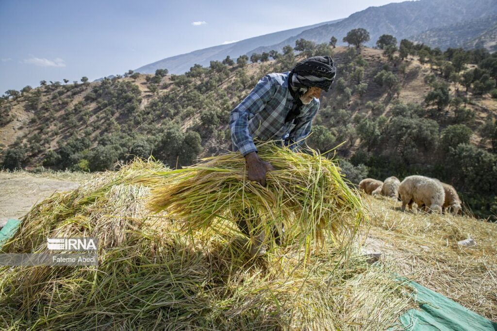 گلوگاه‌های رونق اقتصاد روستا - اصفهان زیبا