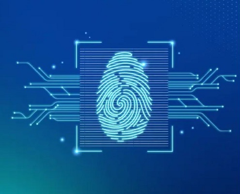 آمار گسترده جرم در افراد بی‌هویت!