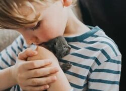 آنچه خردسالان لحظه مرگ می‌بینند