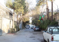 زمینهای حاصلخیز، باغهای پر میوه زمینهای حاصلخیز، باغهای پر میوه