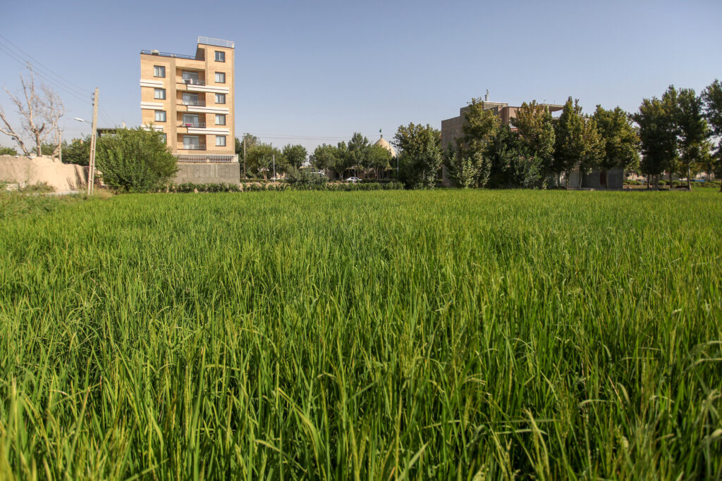 تغییر کاربری اراضی کشاورزی در اصفهان؟! - اصفهان زیبا