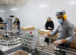 تور فناوری برای توریستها تور فناوری برای توریستها